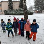 phoca_thumb_m_krteci a snh 7 Fotogalerie